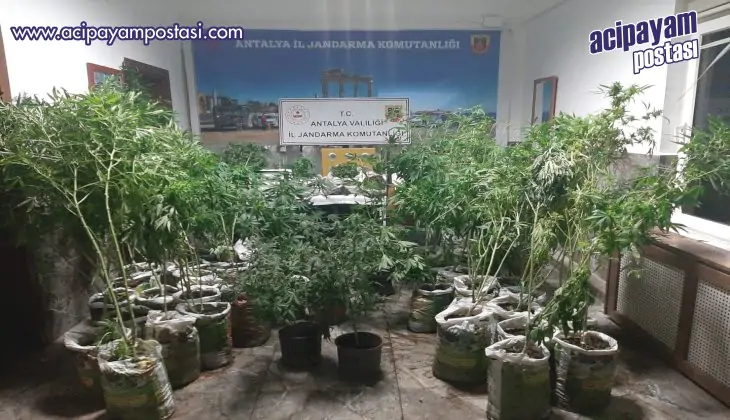 Antalya’da 27 kilogram esrar ele
                    geçirildi