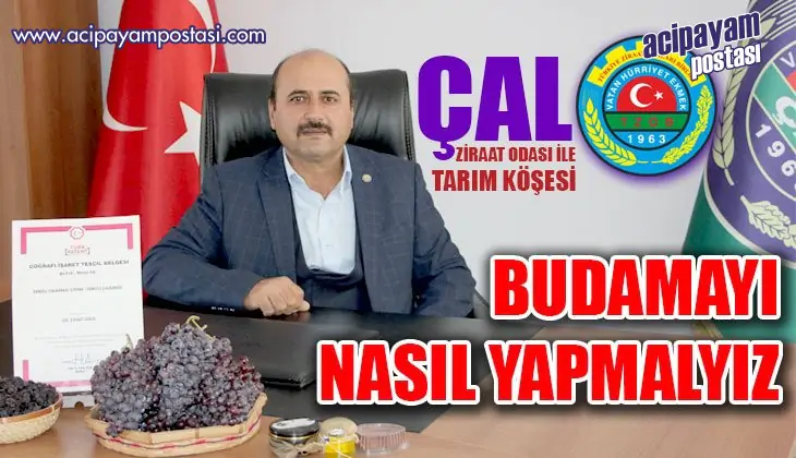 BUDAMAYI NASIL
                    YAPMALIYIZ