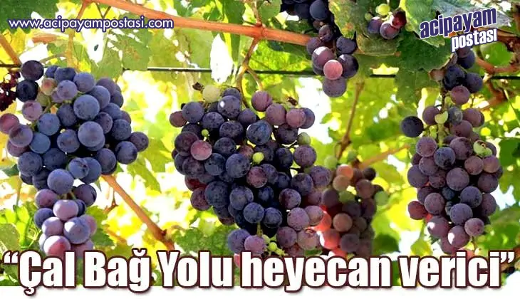 “Çal Bağ Yolu heyecan
                    verici”